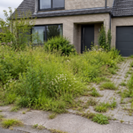 Werf sint niklaas VOOR